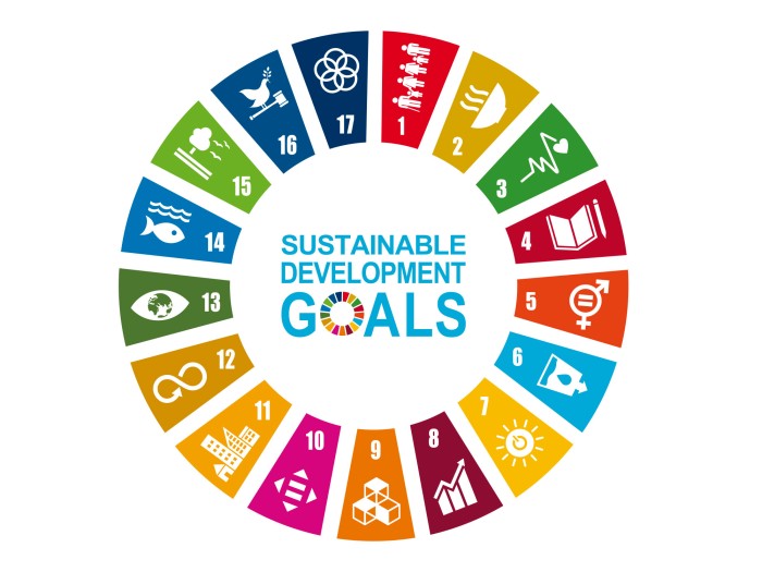 ODS: Un marco global para un futuro justo y sostenible