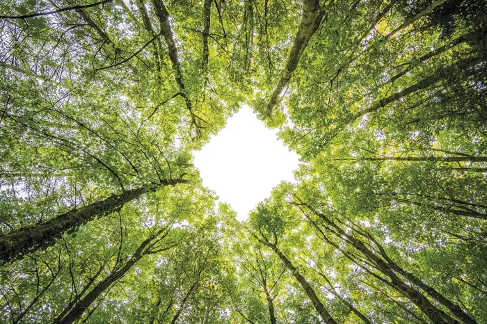 Comprometidos con el medioambiente
