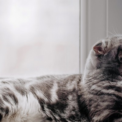 Ablak vasalat szakszerűen – Ablak vasalat típusok