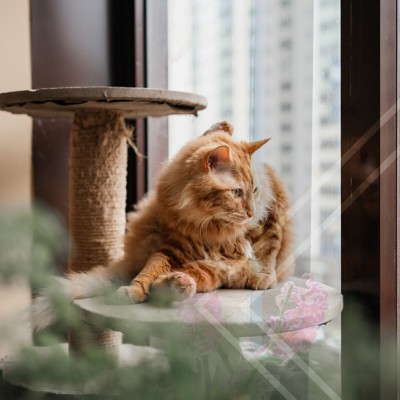 Üveg karcolás eltüntetése – Házilag is lehetséges, vagy inkább szakember dolga az ablaküveg karcolás eltüntetése?