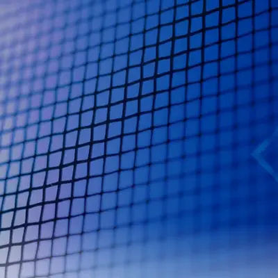 Szúnyogháló a műanyag ablakra – így válasszunk kivitelezőt