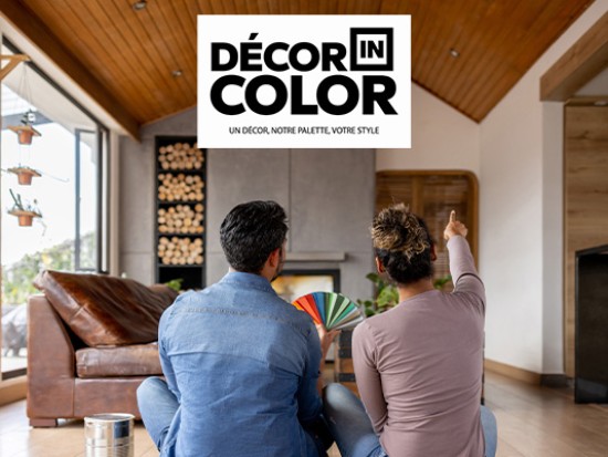 veka decor in color cadres