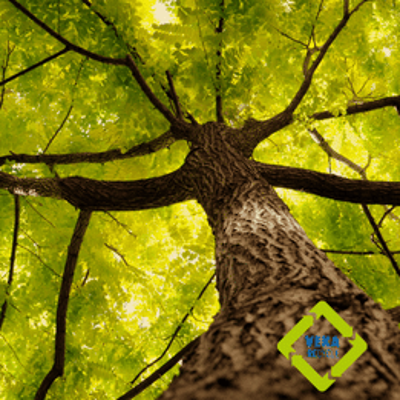 Responsabilité environnementale et nouvelles solutions