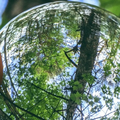 Environnement