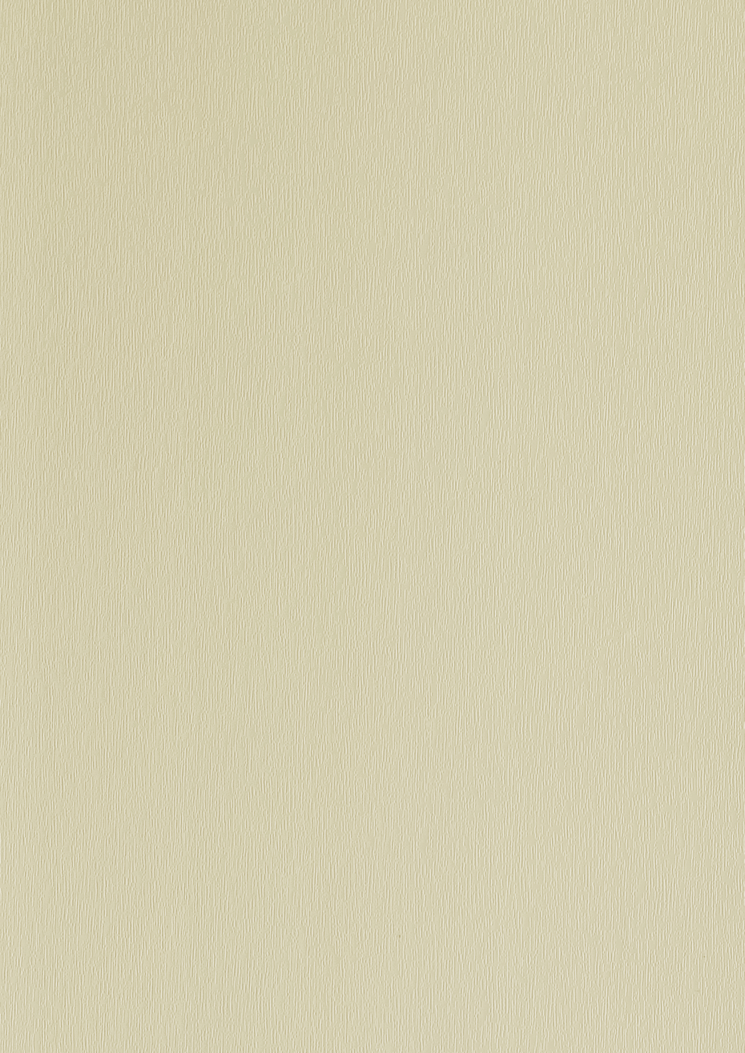 Ivoire Clair Veiné (RAL 1015)