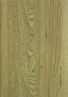 Coriander Oak