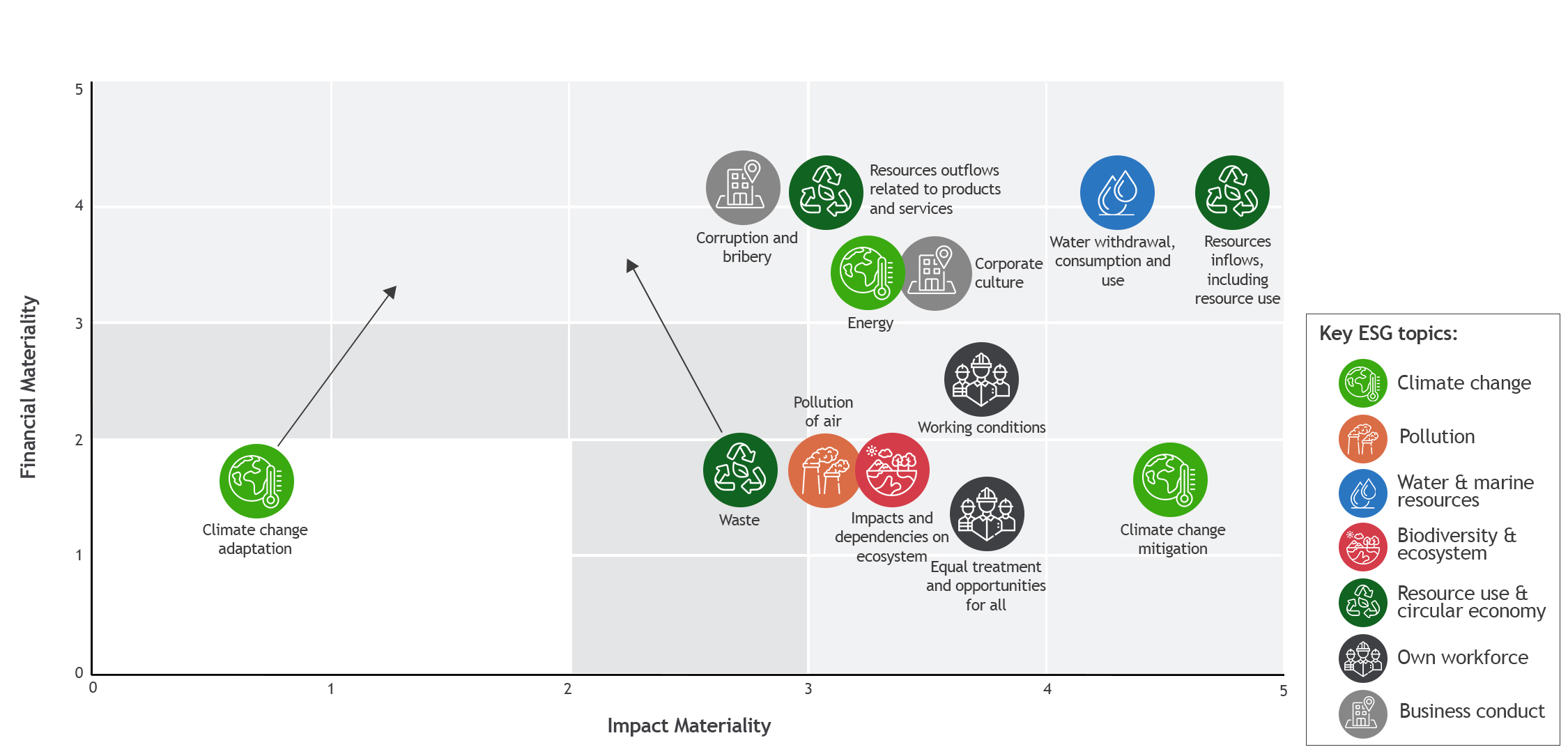 Materiality analysis of Laumann Group