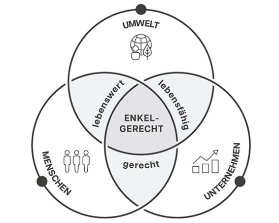 Grafik CSR-Dimensionen