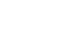 Logo Vinylit