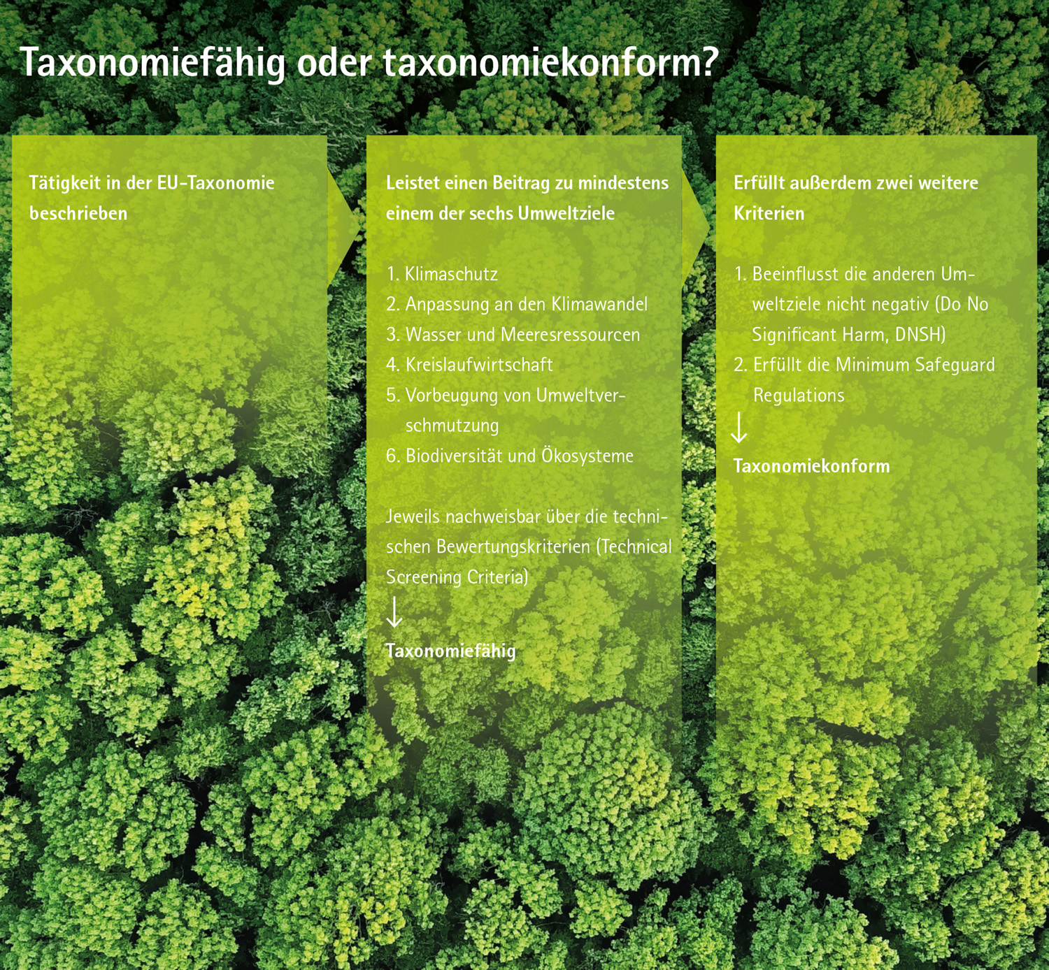 Taxonomiefähig oder taxonomiekonform?