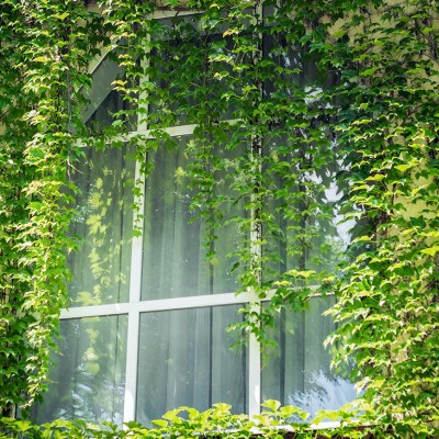 Recyclage, économies d'énergie