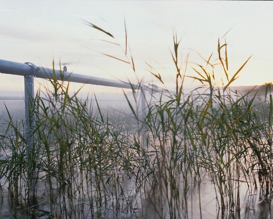 Wetlands at VEKA in Sendenhorst