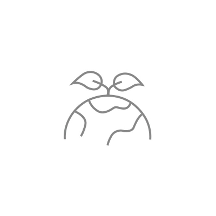 Icon Environmental perspective