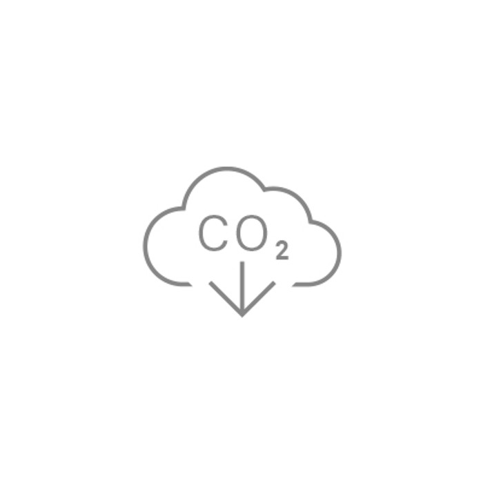 Icon Climate neutrality