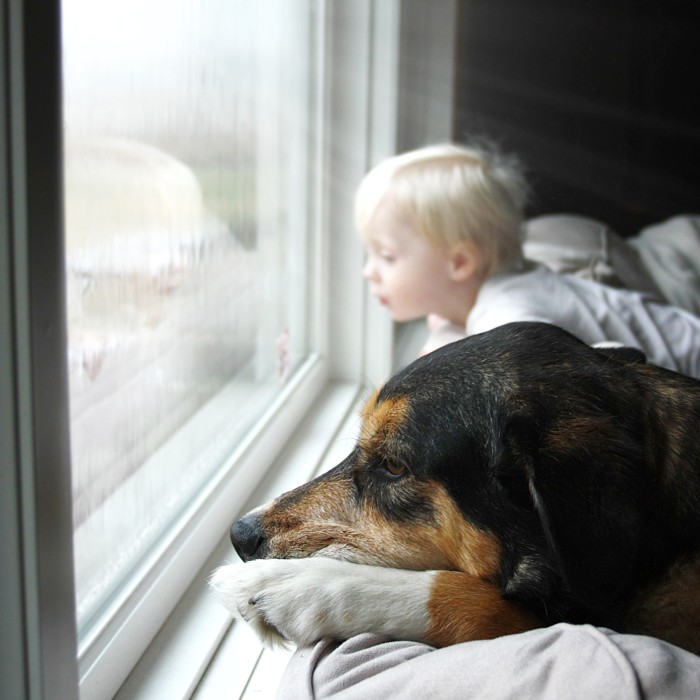 Kleiner Junge und Hund schauen bei Unwetter aus dem Fenster