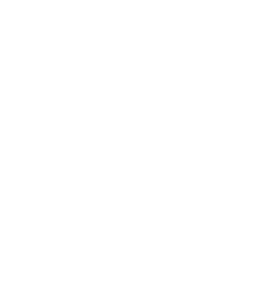 VEKA Logo