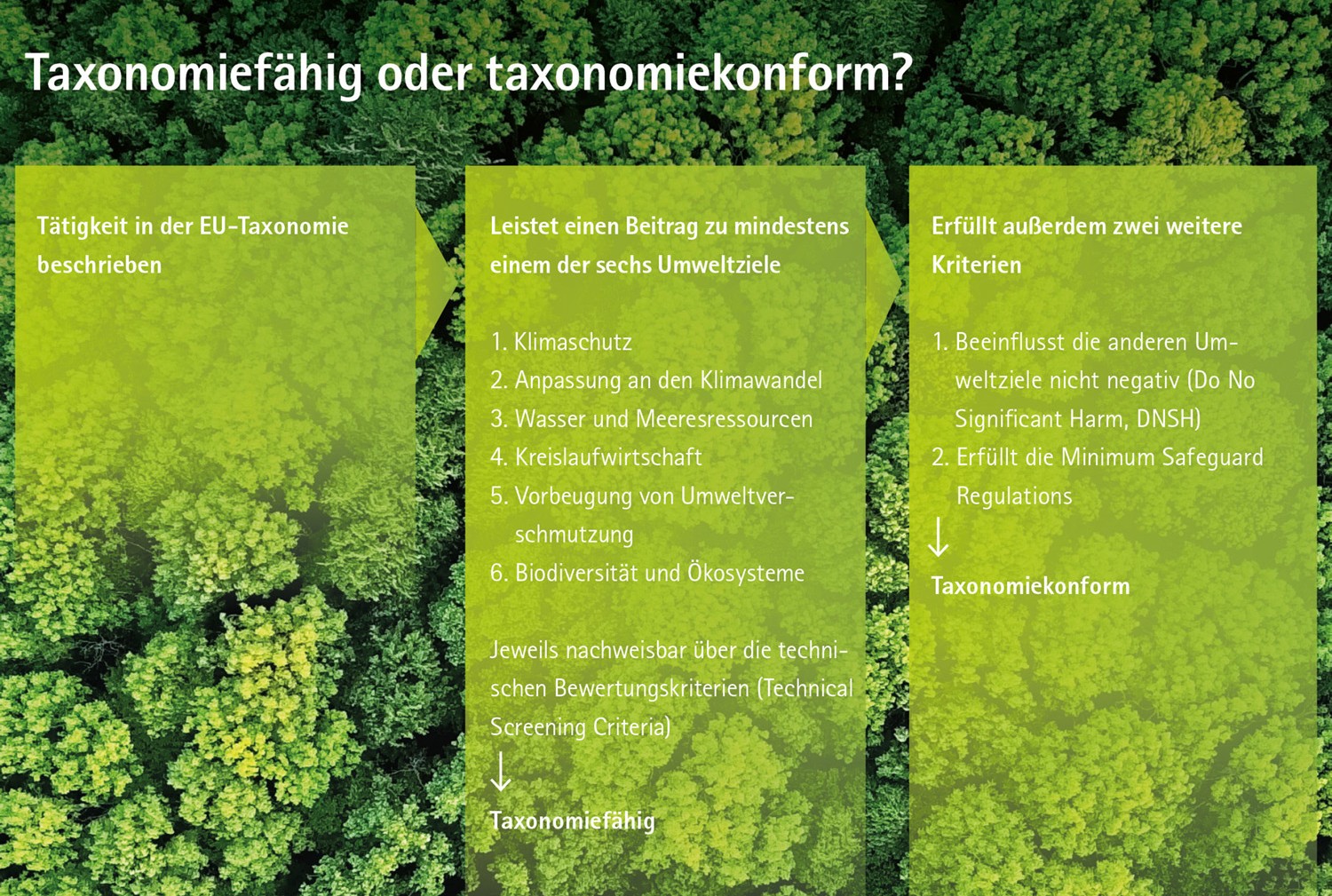 Taxonomiefähig oder taxonomiekonform?