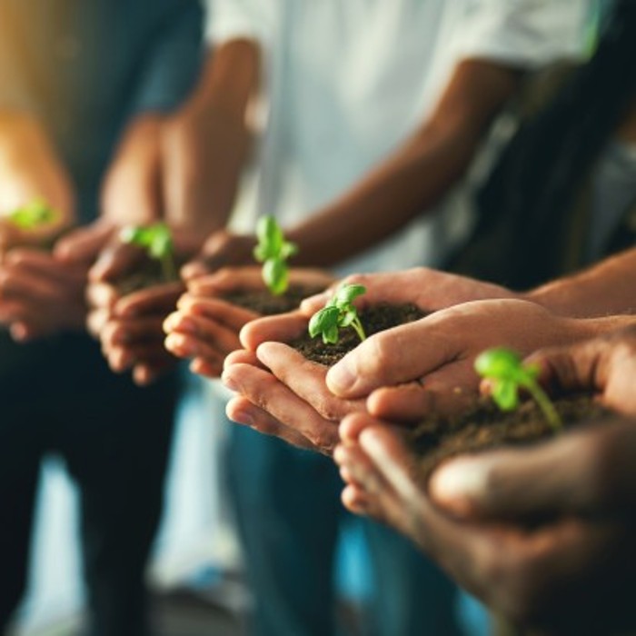 Reciclagem e ambiente