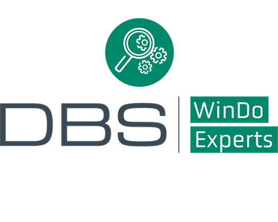 DBS WinDo Experts Logo and Icon