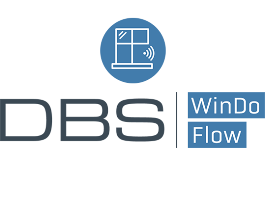 DBS WinDo Flow Logo und Icon