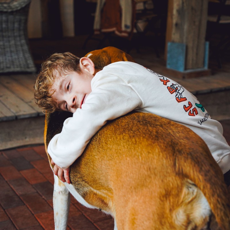 A boy hugs a dog