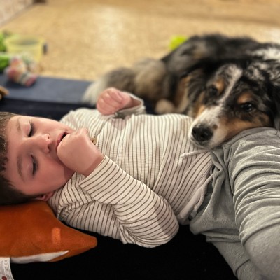 A boy cuddles with a dog