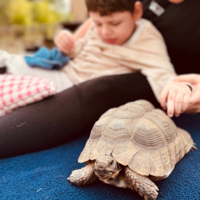 A sick boy with a turtle