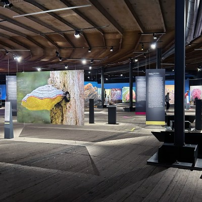 Ausstellung Mythos Wald im Gasometer in Oberhausen