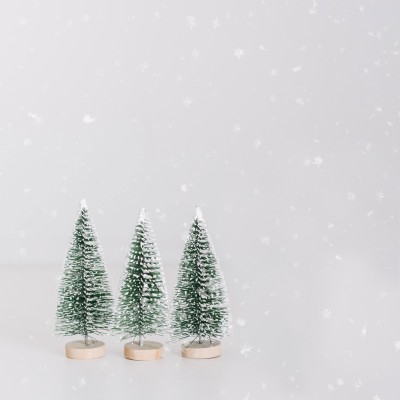 Weihnachtsbäume