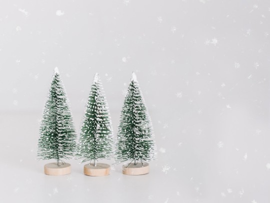 Weihnachtsbäume